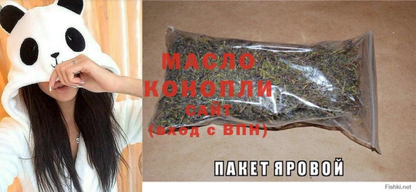 молекула духа Ростов
