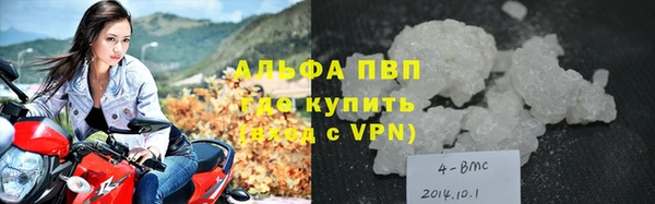 молекула духа Ростов