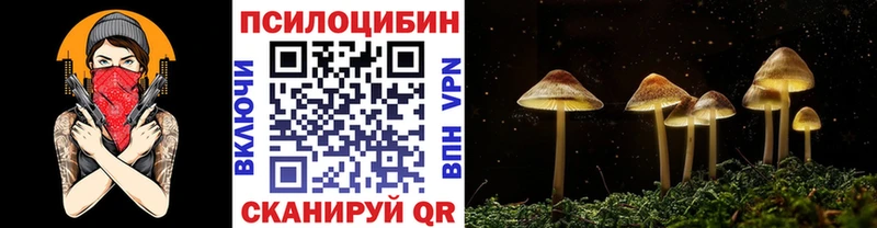 Галлюциногенные грибы прущие грибы  Нюрба 